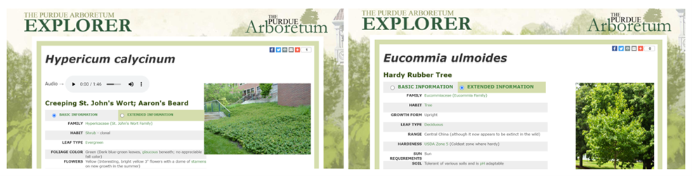 two side-by-side screenshots of plant profiles on Purdue Arboretum Explorer. Both profile pages display similar information, including photograph, common name, plant type, etc.