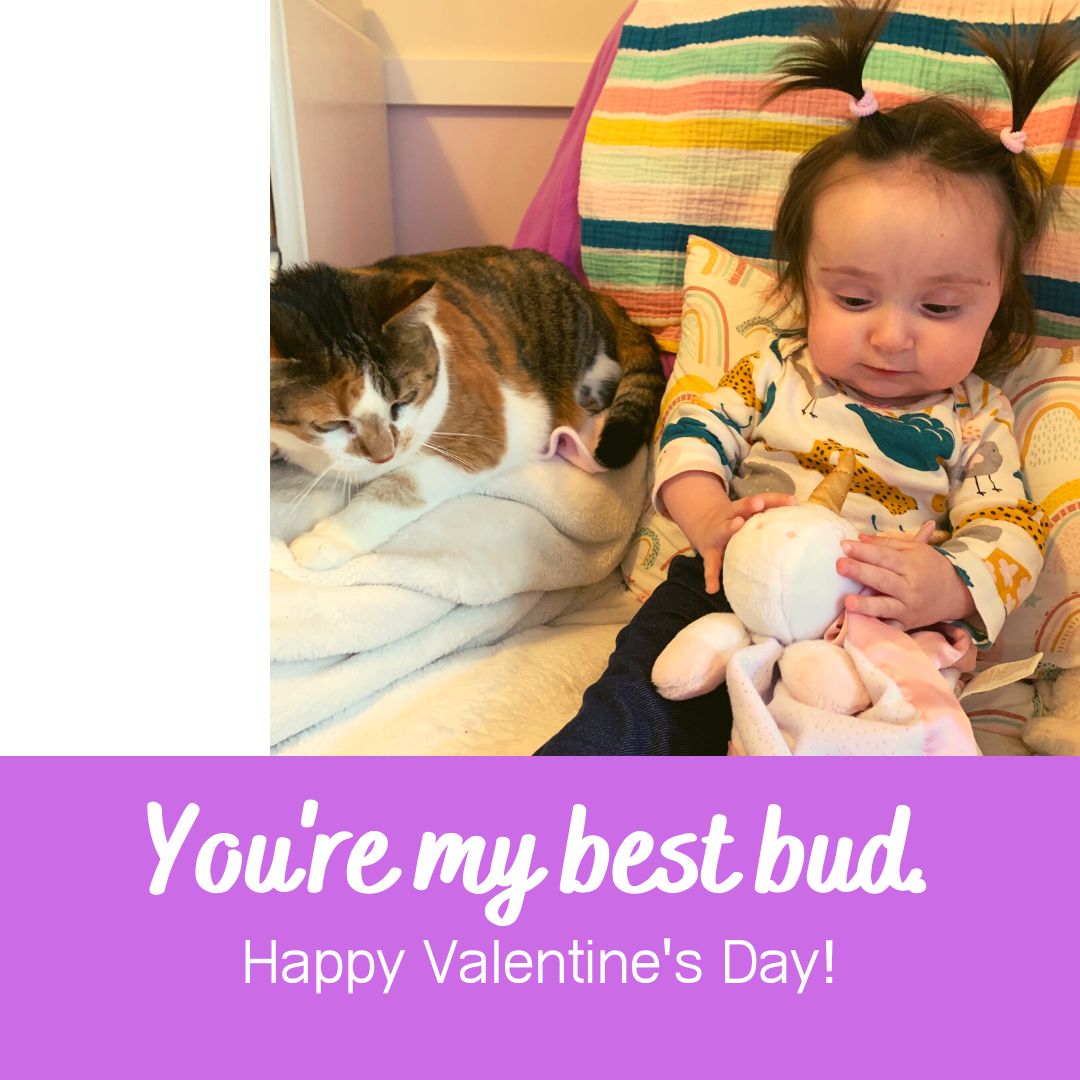 A cat is lying down next to a toddler. Text reads, "You're my best bud. Happy Valentine's Day."