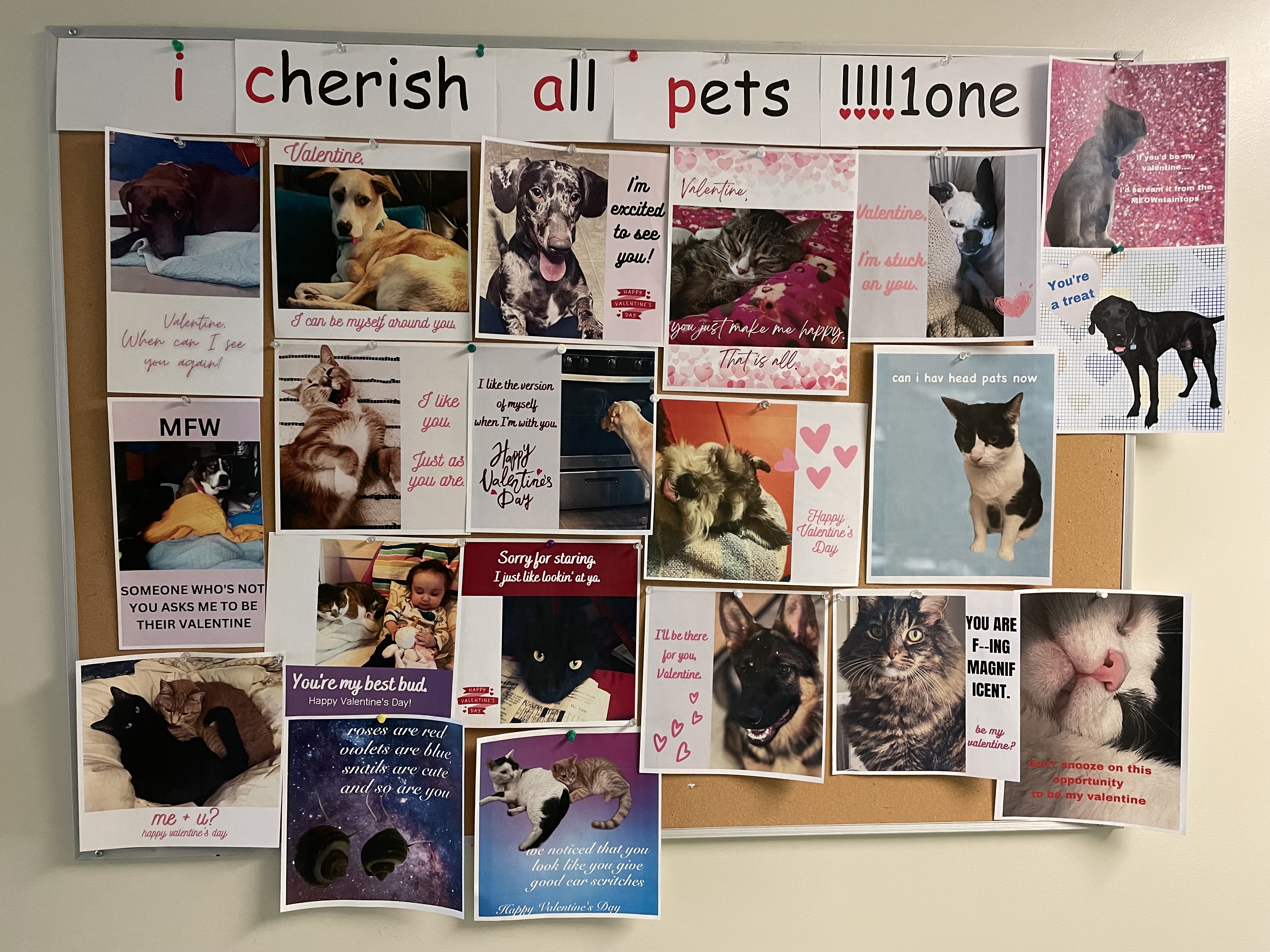A photo of a bulletin board filled with printed valentines, including those featured above on this page.