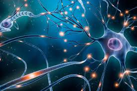 A digital render of microscopic neurons.