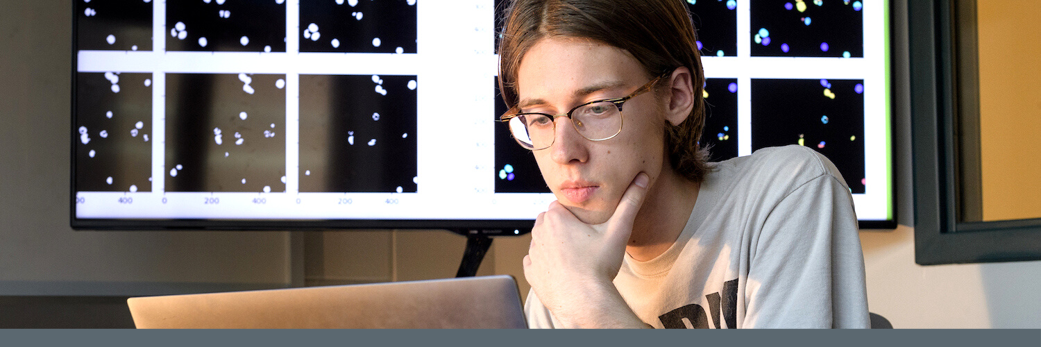 Student working at a computer