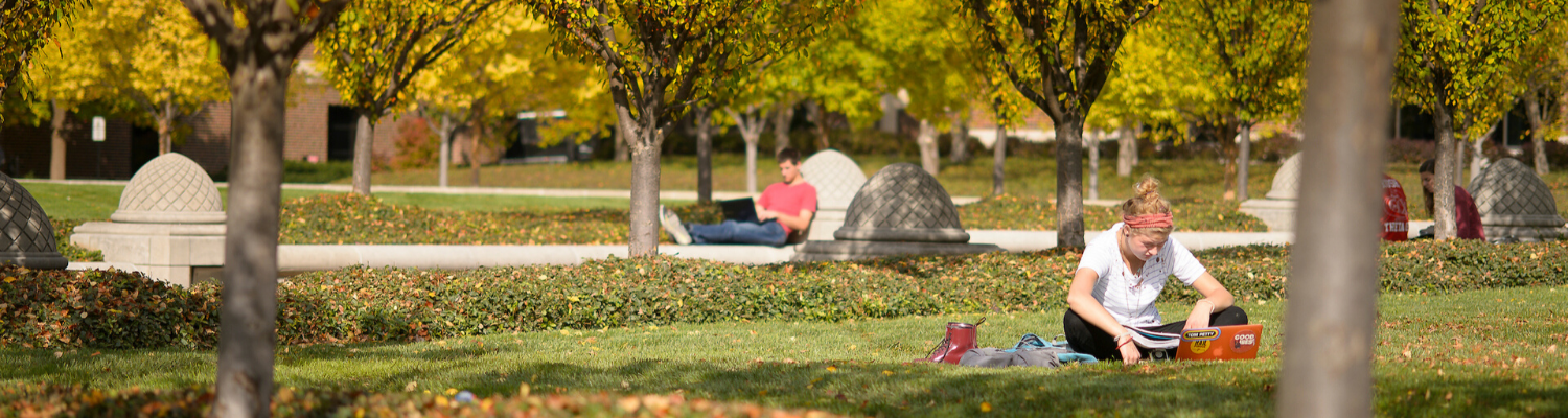 Students studying on a lawn