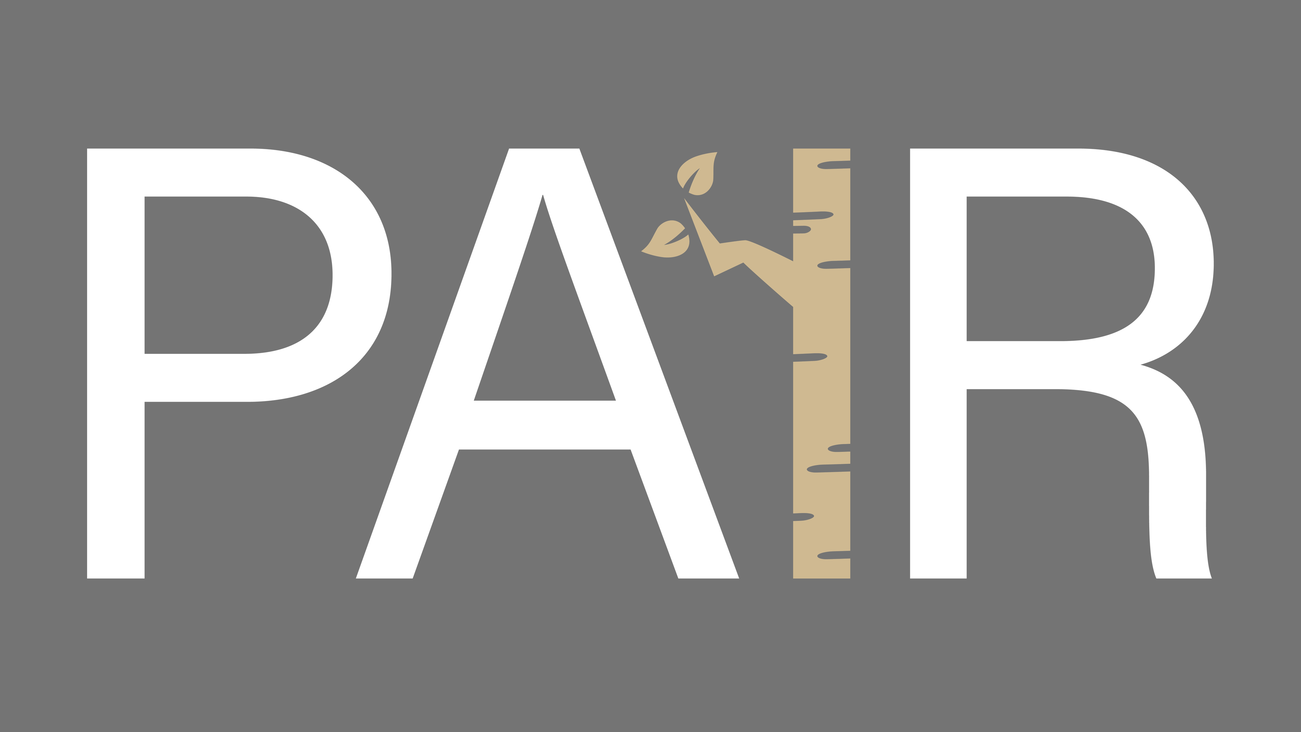 Program on American Institutional Renewal wordmark. 