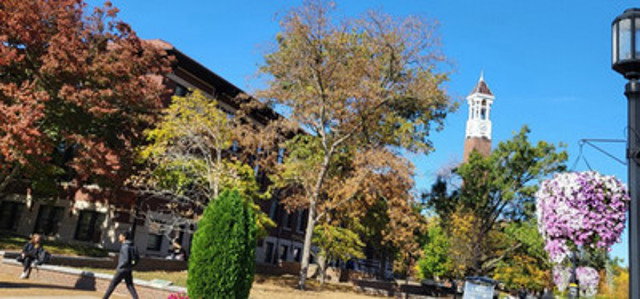 bell tower in the distance with trees surrounding it