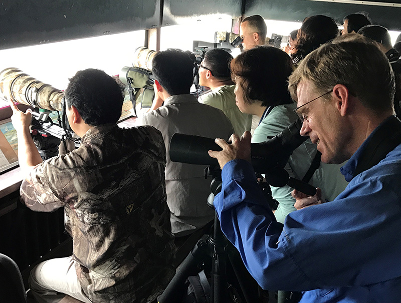 Frederick Rowe Davis