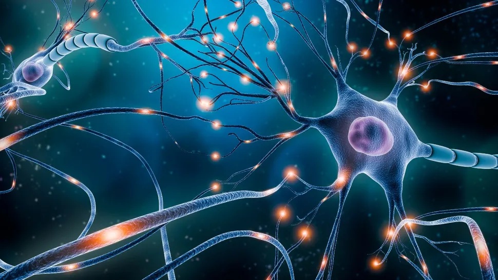 Artists rendering of neurons firing in the brain