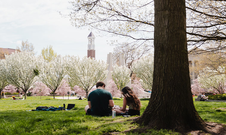 $_EscapeTool.xml(${alt})