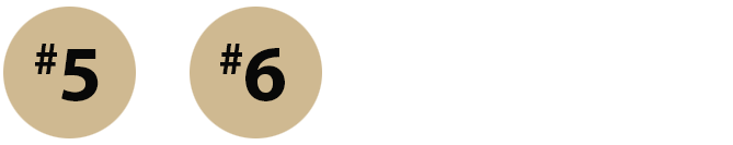 Two Gold circles with text reading Number 5 for one and Number 6 for the other..