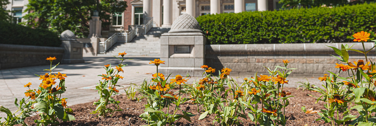 Front steps of Hovde Hall.